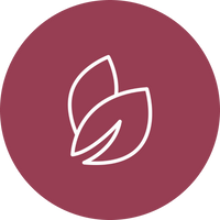 Ethically Sourced & Responsibly Made