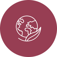 Organic & Natural Fibers